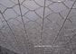 Καυτή βυθισμένη γαλβανισμένη εξαγωνική υφαμένη αλιεία με δίχτυα καλωδίων για το κλουβί πουλερικών προμηθευτής