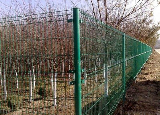 Κίνα Πολύχρωμη γαλβανισμένη περίφραξη αγροτικού πλέγματος για τη φύτευση οπωρωφόρων δέντρων προμηθευτής